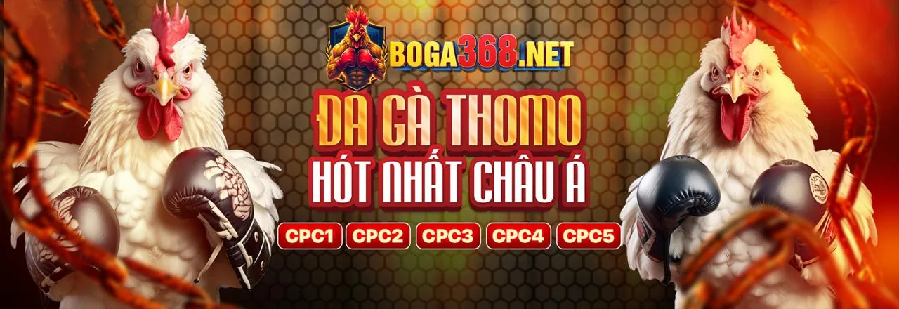 Hình ảnh Điều khoản dịch vụ của bsport chính thức